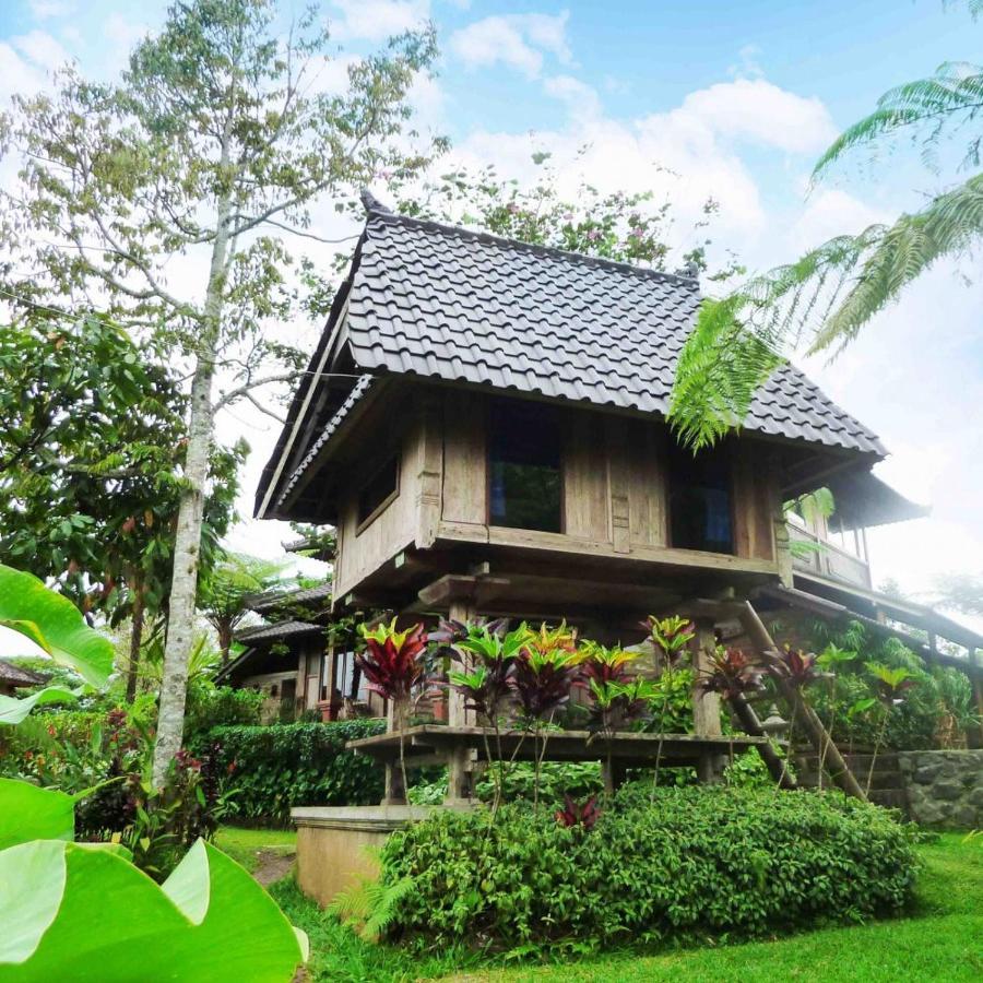 巴厘岛芒廷山林小屋 Selemadeg  外观 照片