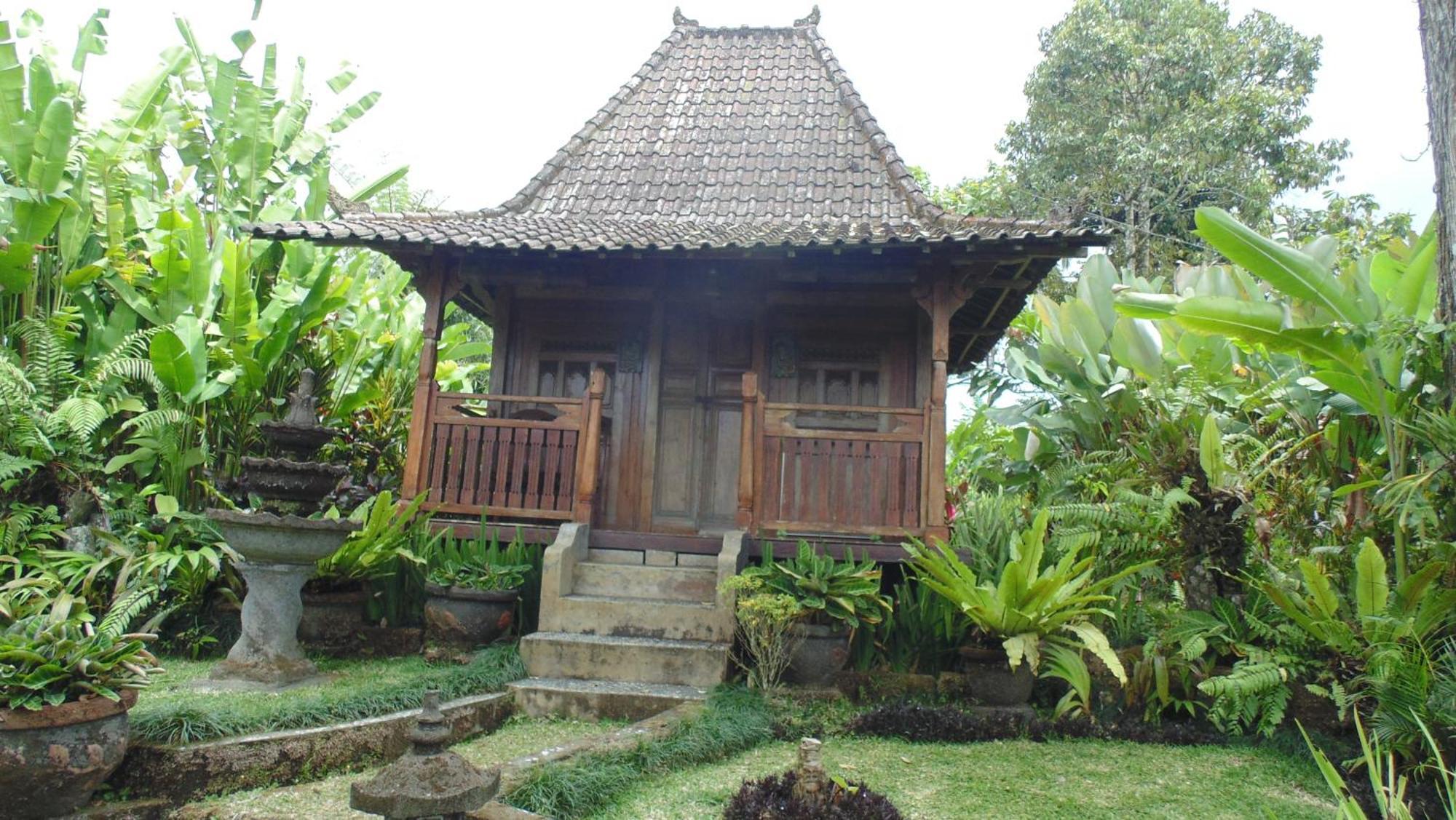 巴厘岛芒廷山林小屋 Selemadeg  外观 照片