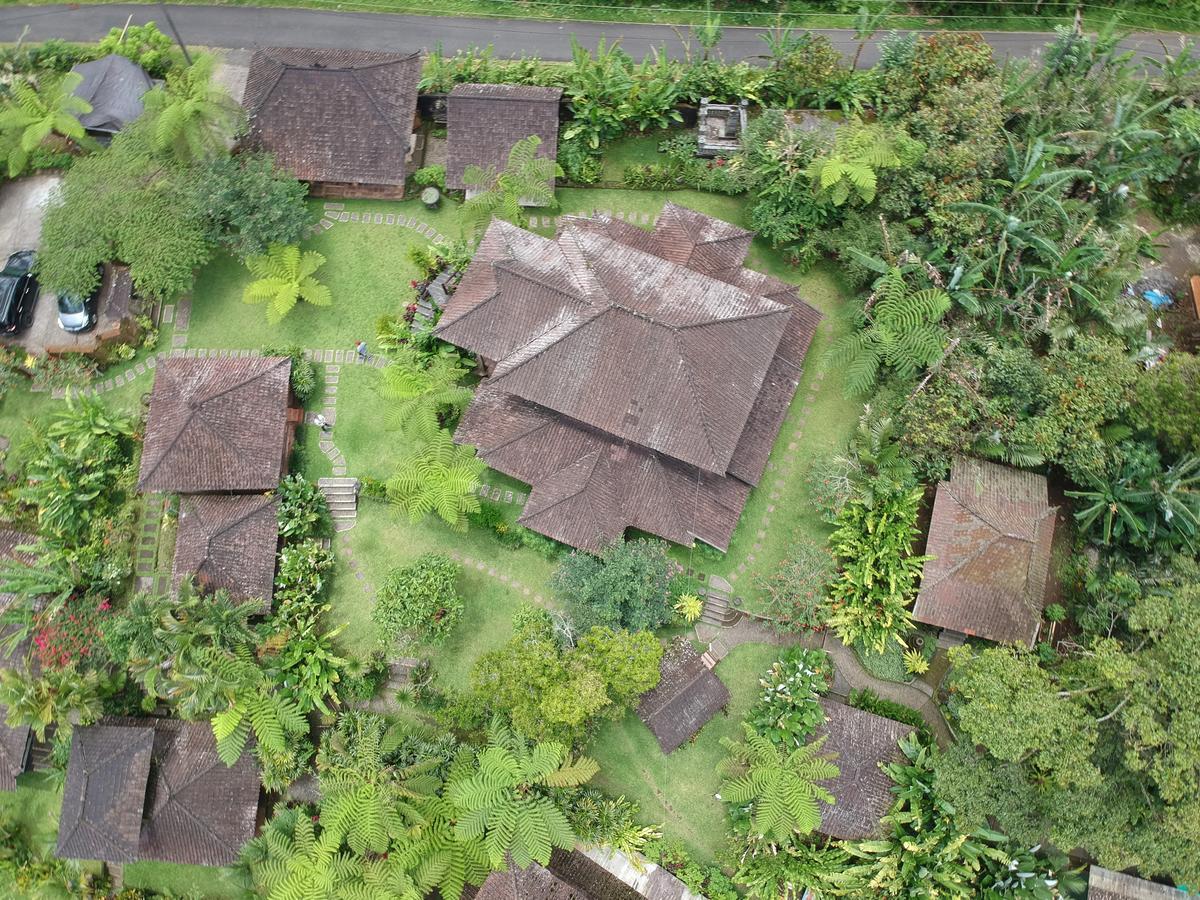 巴厘岛芒廷山林小屋 Selemadeg  外观 照片