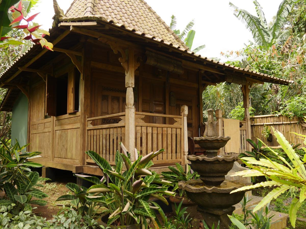 巴厘岛芒廷山林小屋 Selemadeg  外观 照片