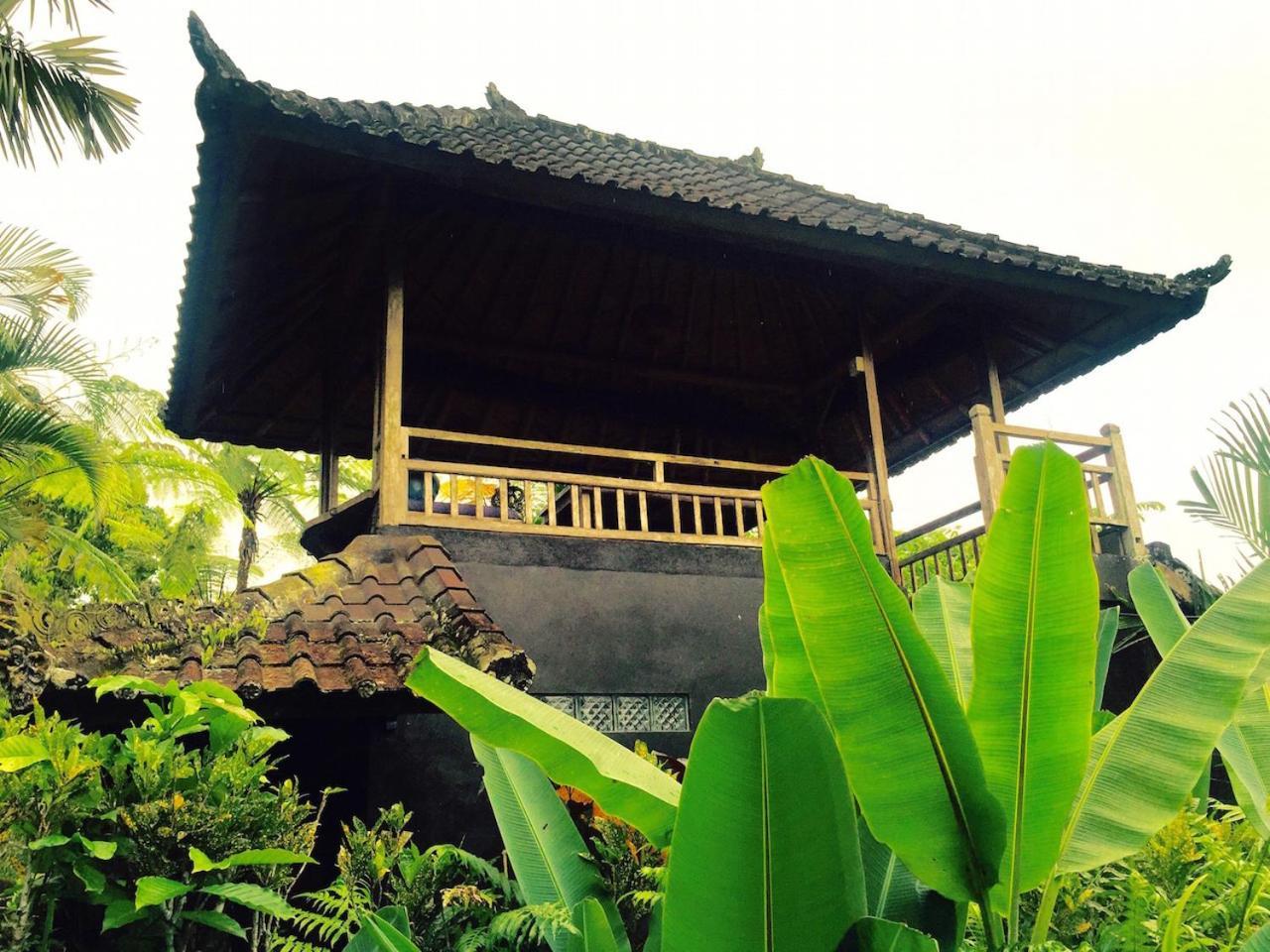 巴厘岛芒廷山林小屋 Selemadeg  外观 照片