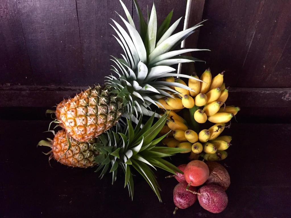 巴厘岛芒廷山林小屋 Selemadeg  外观 照片