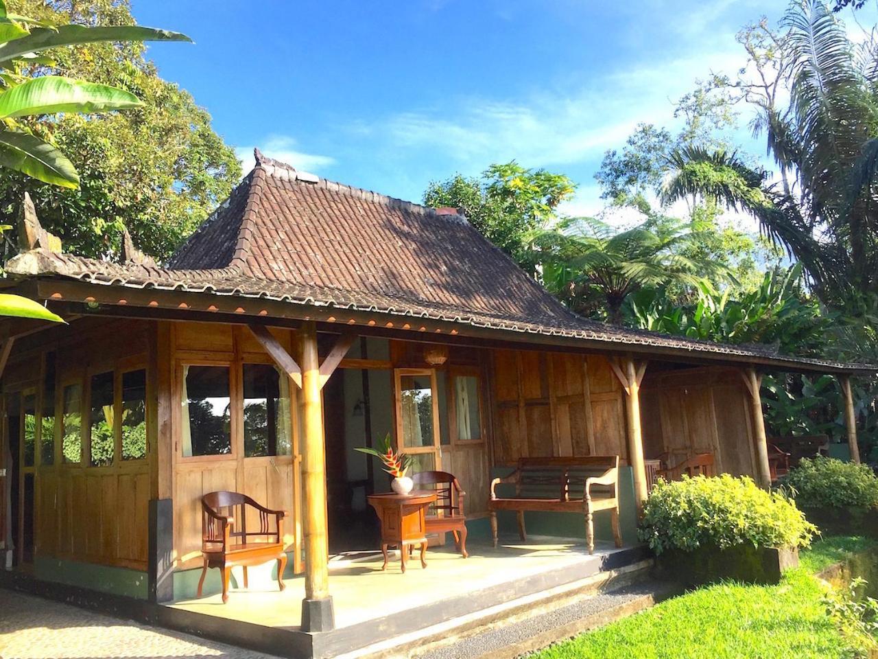 巴厘岛芒廷山林小屋 Selemadeg  外观 照片